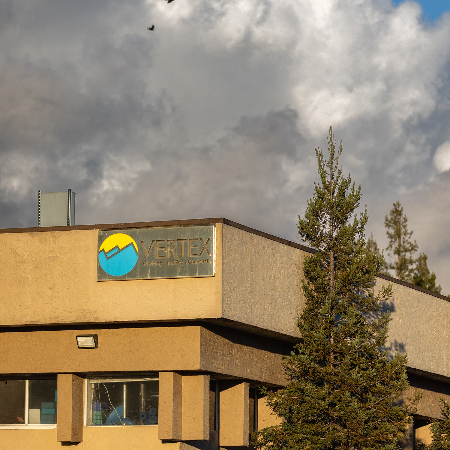 The Vertex climbing gym in Santa Rosa, California