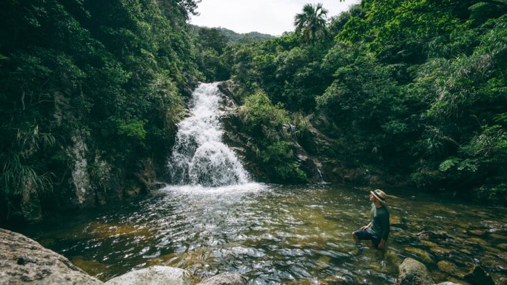 A man stands in a pool at the base of the short but powerful Arawaka Falls, surrounded by lush green foliage and palm trees