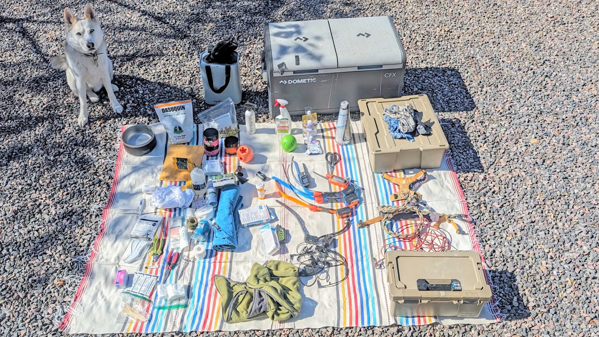 All the Gear You Need to Travel with Three Big Dogs