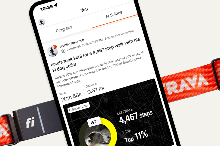 A phone showing a screenshot of a dog's Strava