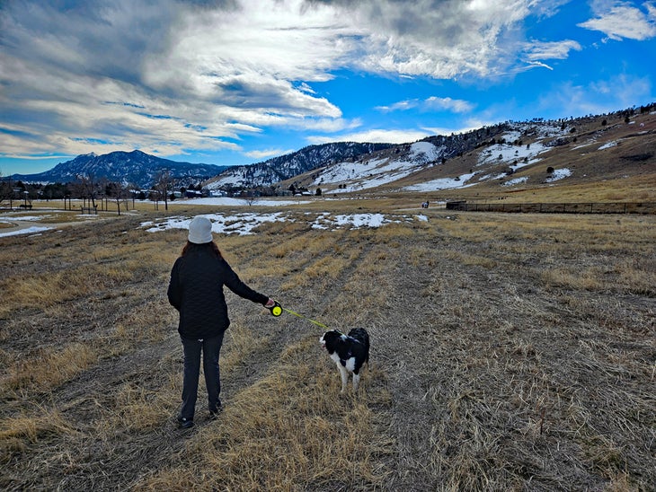 Woman with puppy walking in mountain park