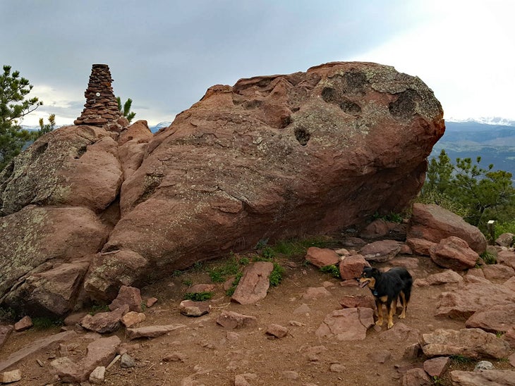 Summit rock on Green Mountain in Boulder Colorado with dog