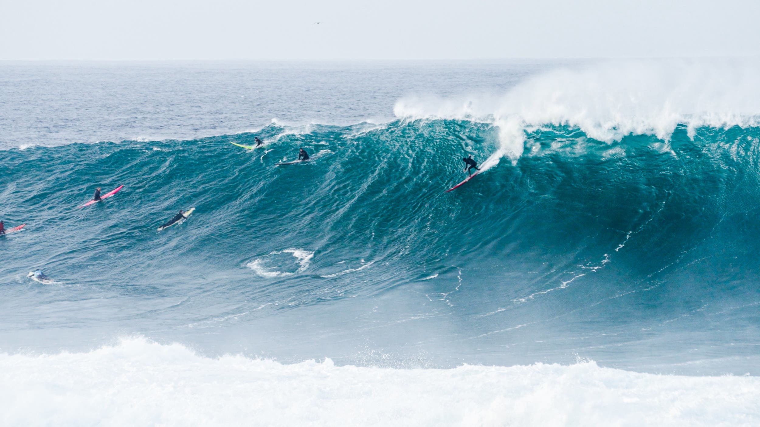 A surfer drops into a very large wave