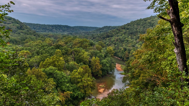 Kentucky's Green River in Mammoth Cave National Park