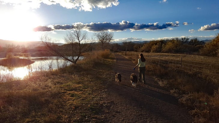 Woman walking dogs on a hiking trail by pond at sunset.