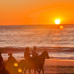 riding horses on a beach at sunset in todos santos