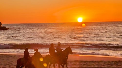 riding horses on a beach at sunset in todos santos