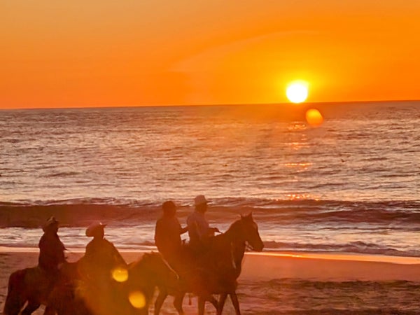 riding horses on a beach at sunset in todos santos