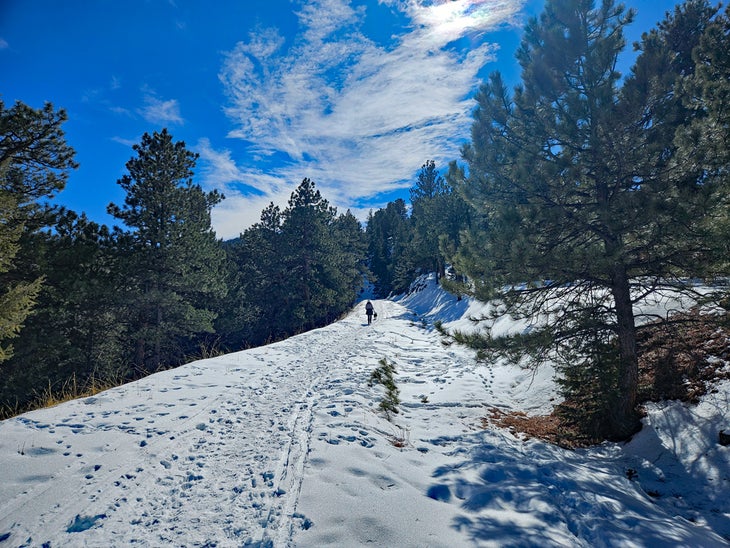 Woman walking dog on snowy mountain trail