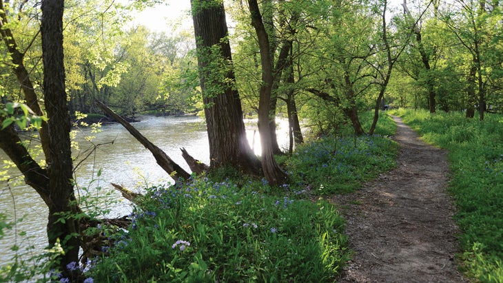 Loop Trail by the White River, Mounds State Park, Indiana