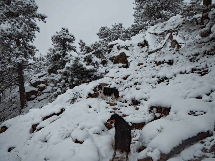 Mount Sanitas snowy day