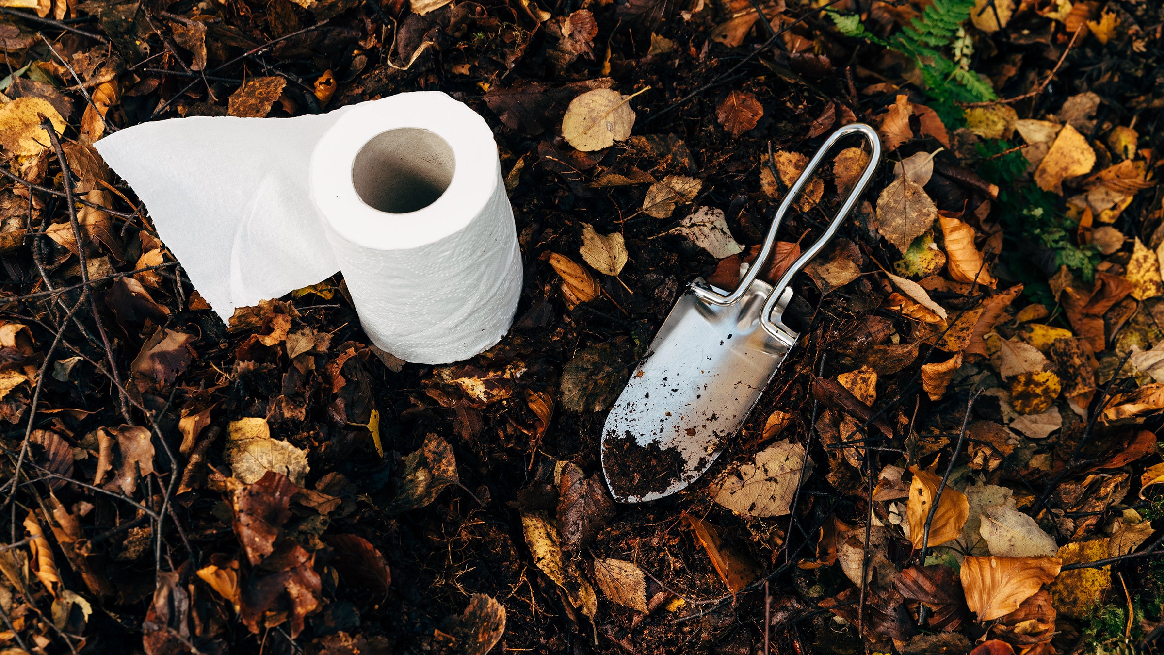 poop in the woods lnt