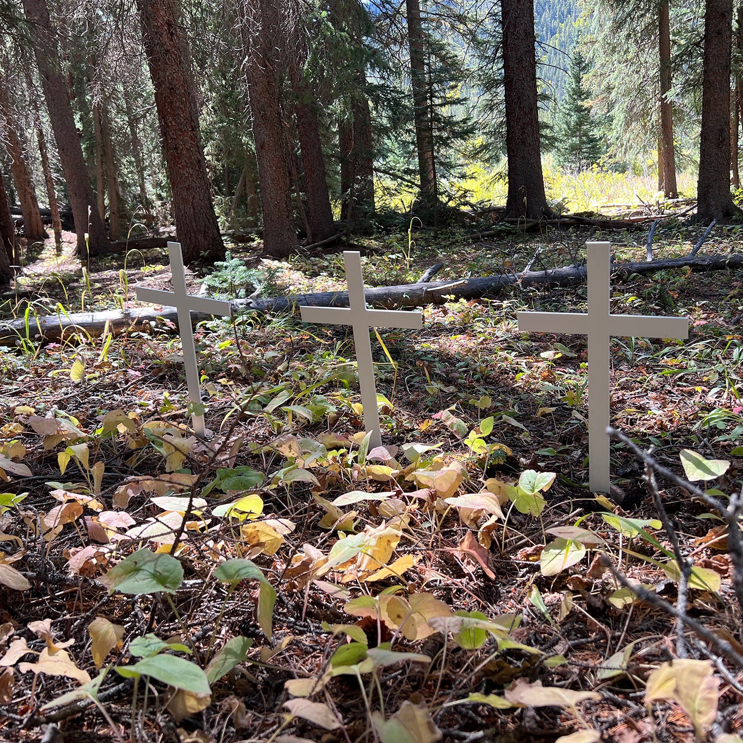 Crosses that family members placed near the campsite