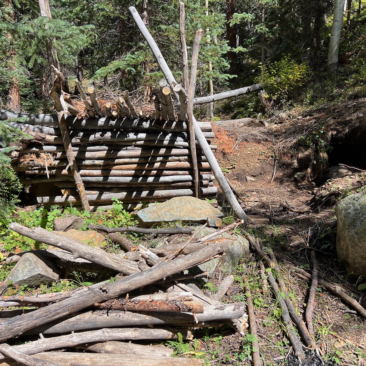 The remains of the Vances’ lean-to