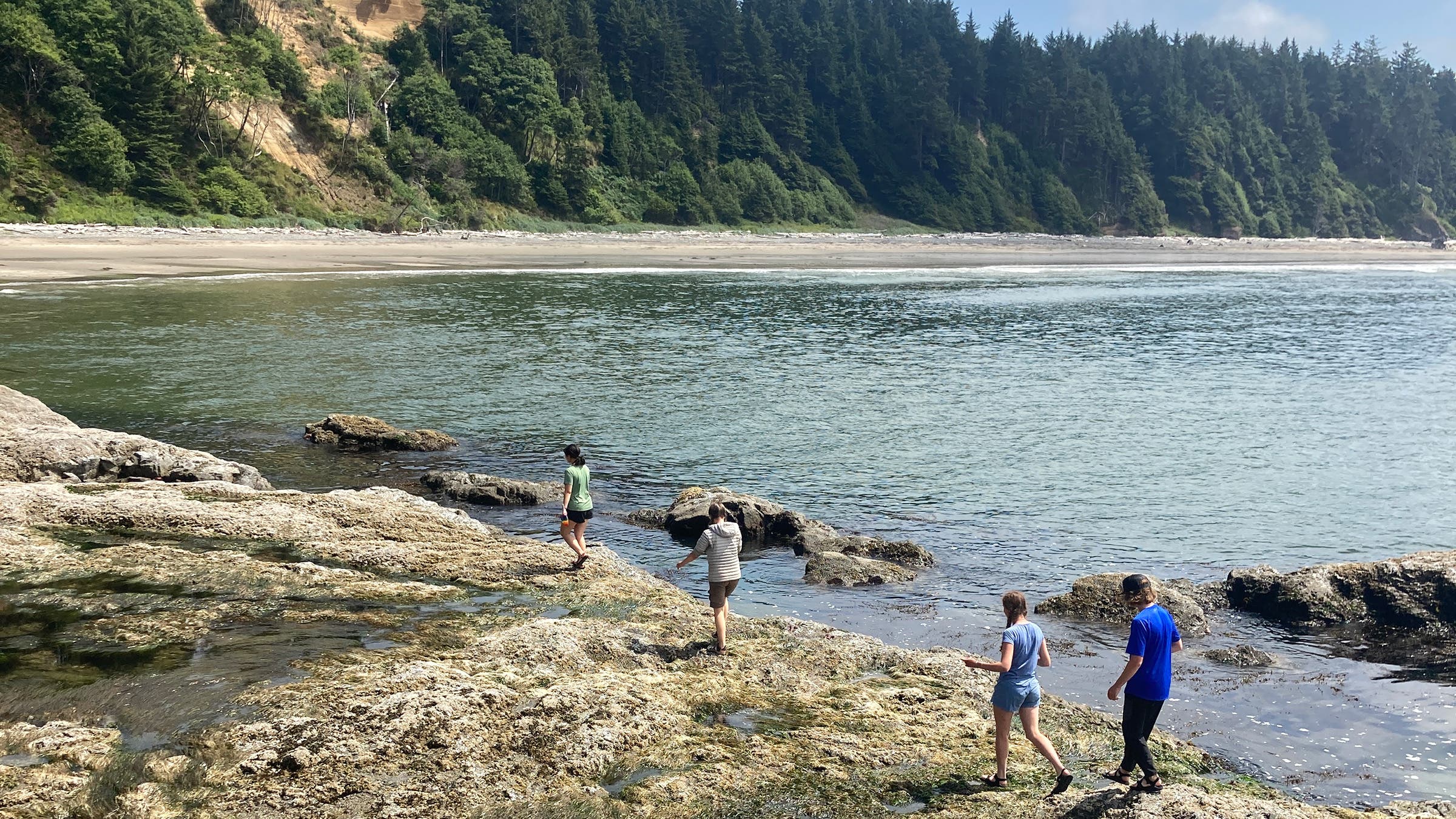 Kids runs run along an inlet on the coast of Olympic National Park, Washington.