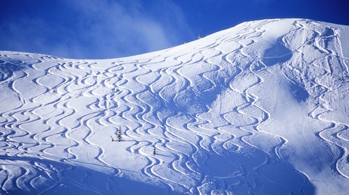 Powder lines on a snowy slope
