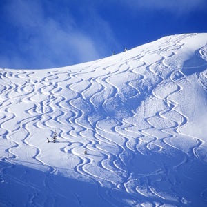 Powder lines on a snowy slope