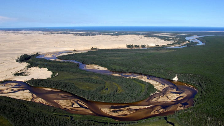 Athabasca Sand Dunes Provincial Park, Saskatchewan, Canada