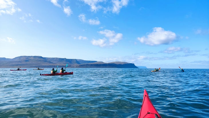 Kayaking in the Hornstrandir Nature Reserve