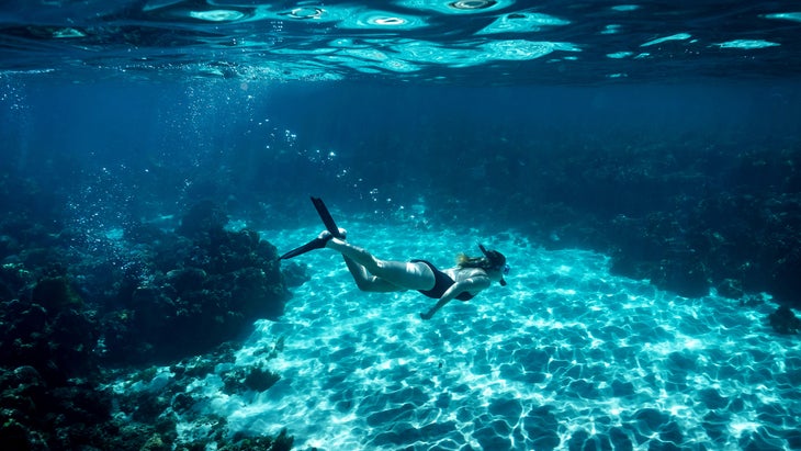 reef exploration, Lord Howe Island