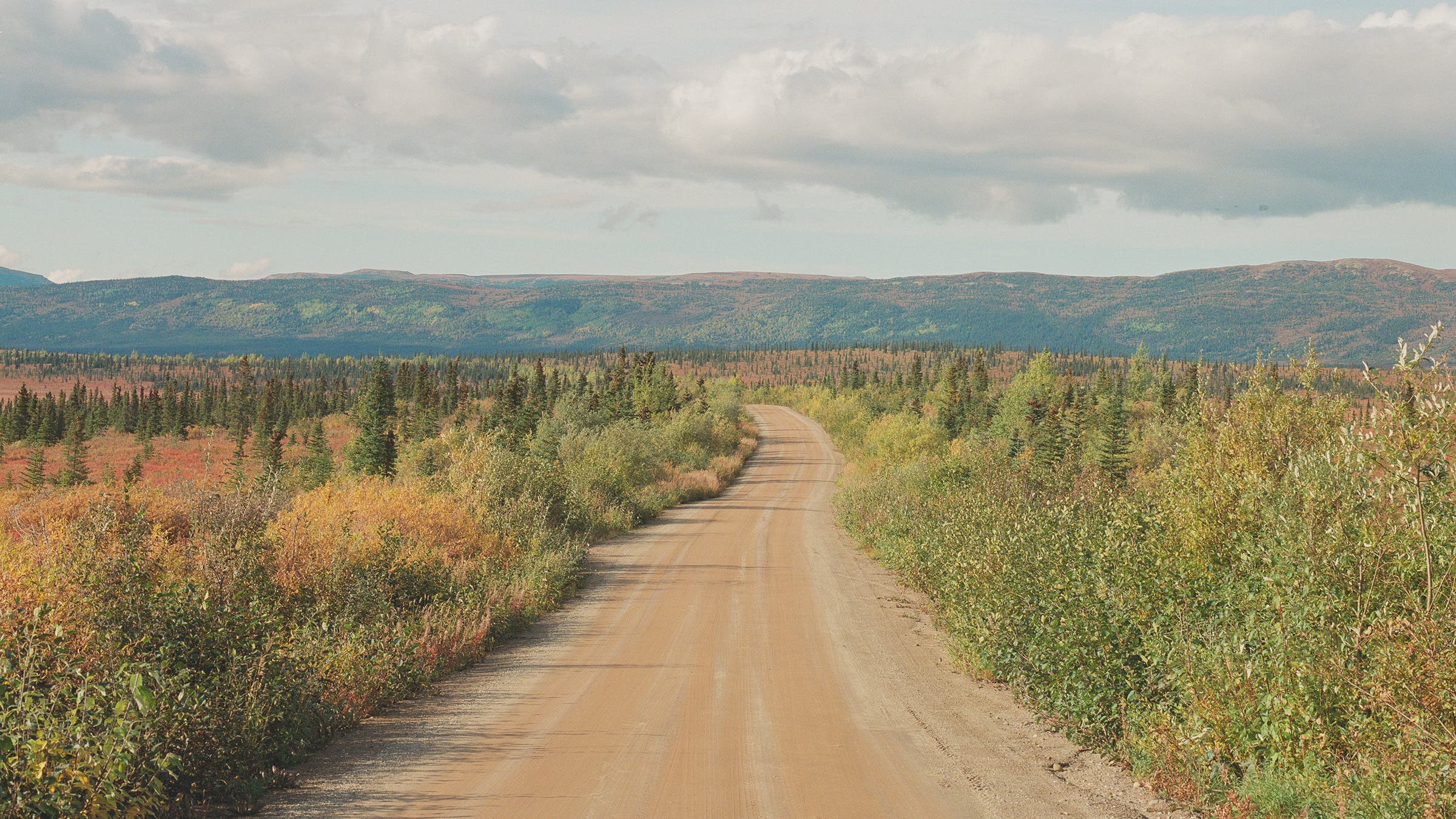 Stampede Road, which leads to the spot where Bus 142 rested for decades