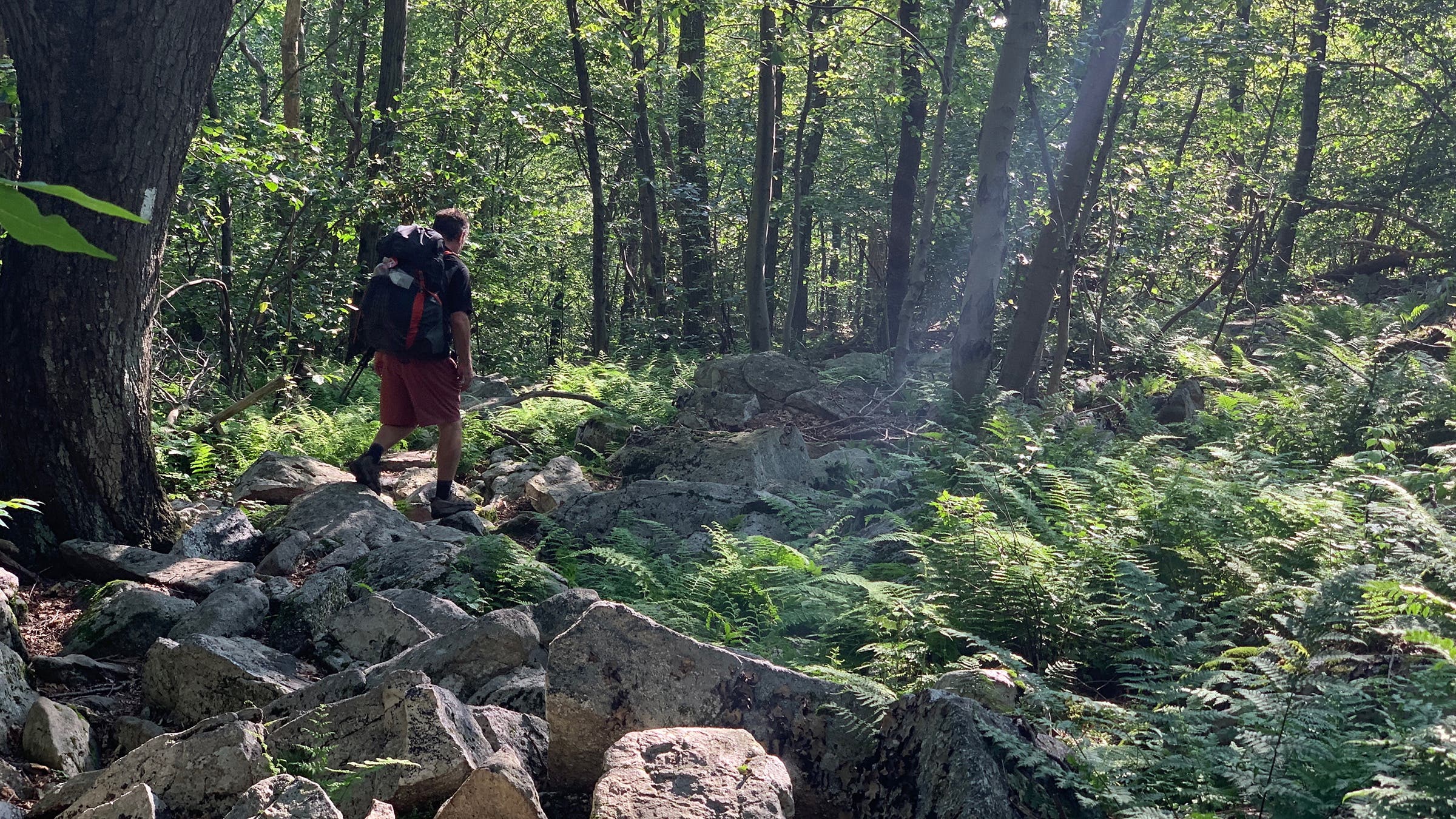 Appalachian Trail - Pennsylvania