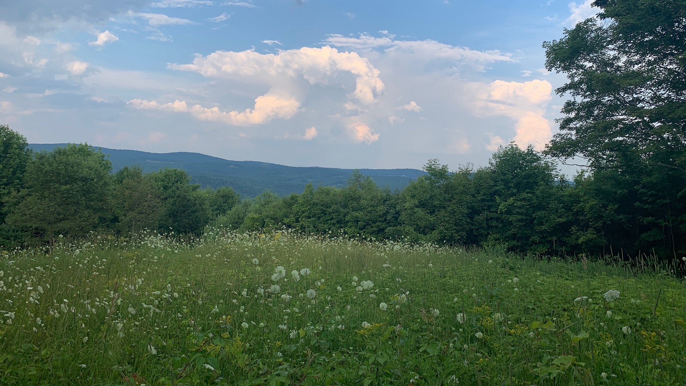 Appalachian Trail - Vermont