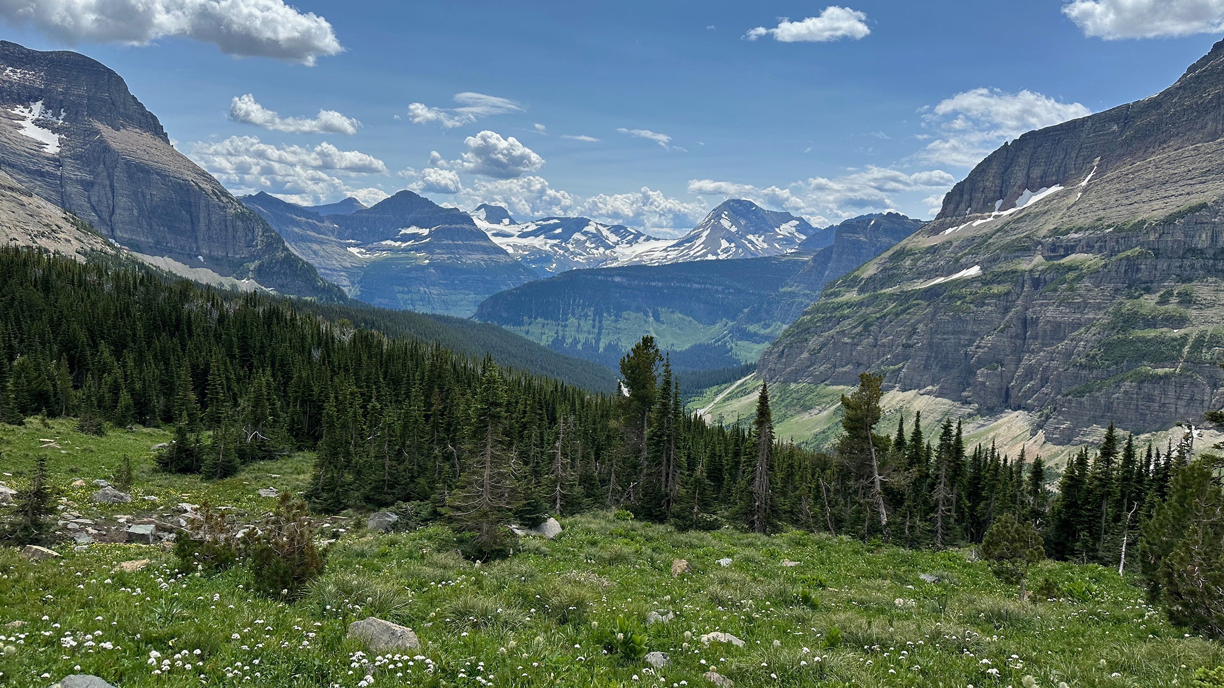 Continental Divide Trail - Montana