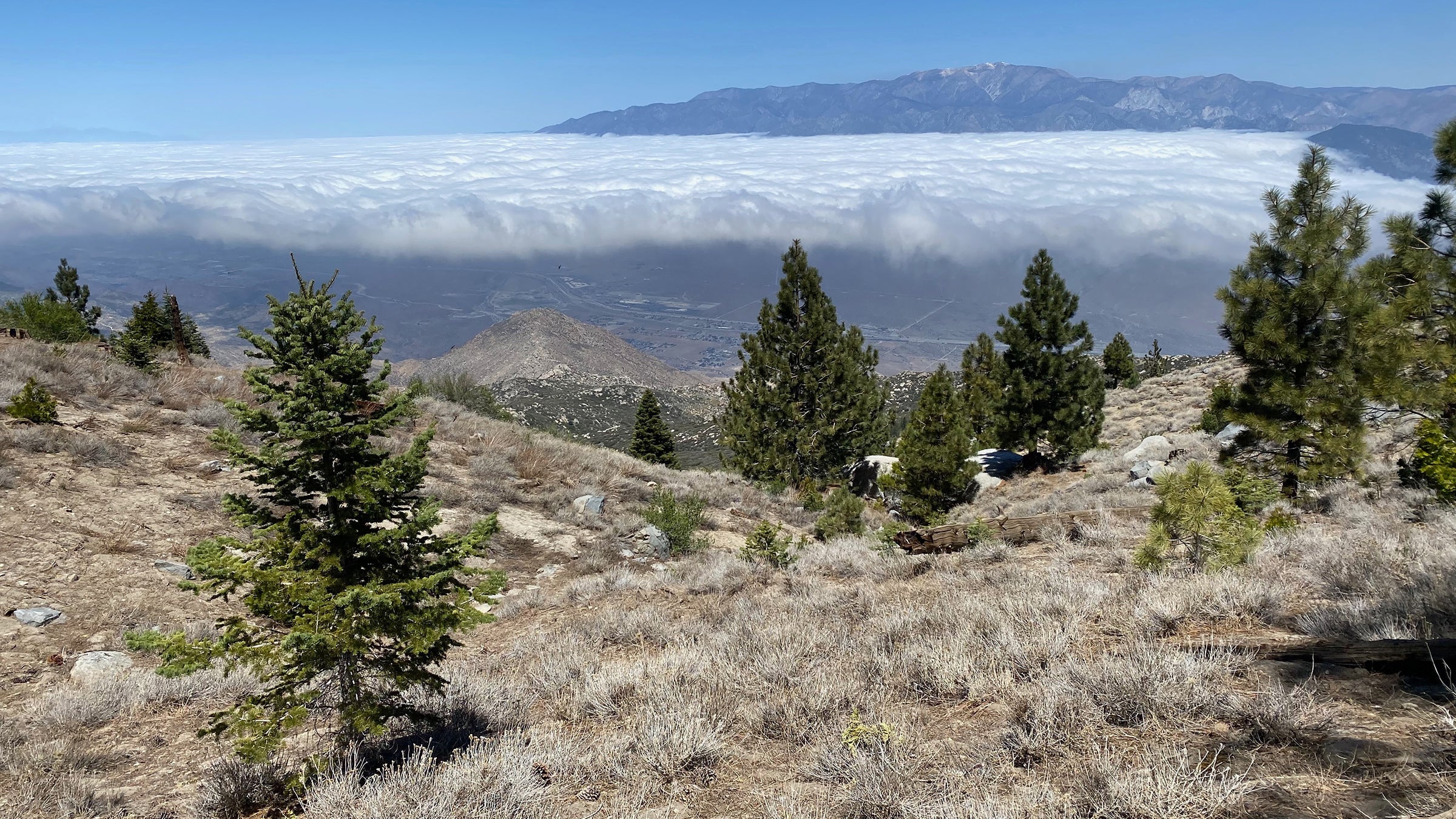 Pacific Crest Trail - California