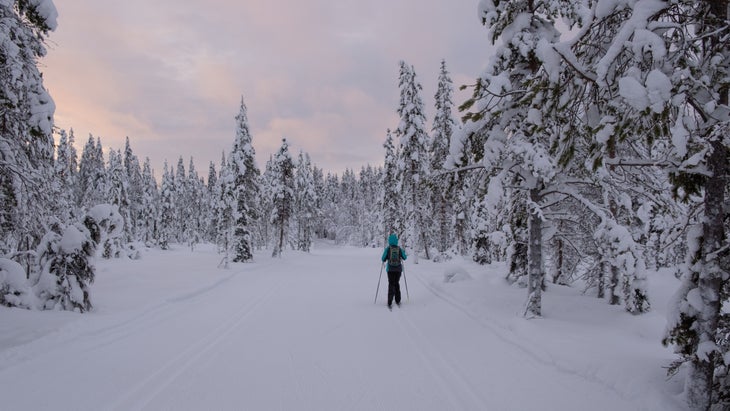 Finnish Lapland Cross Country Skiing