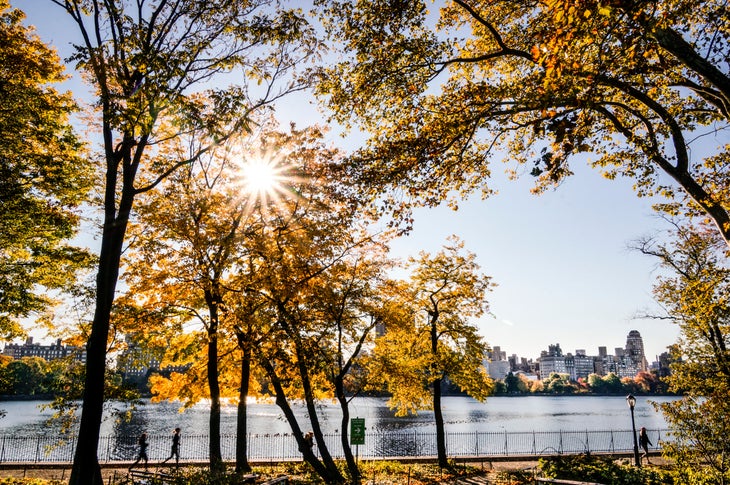 Fall in New York City