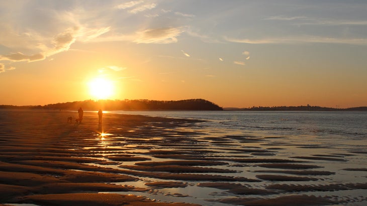 People walking their dogs at sunset on Crane Beach, Massachusetts