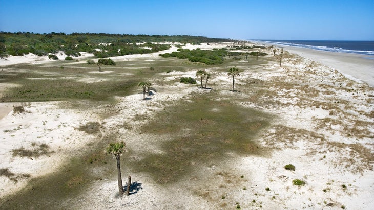 Cumberland Island, Georgia, is one of the best east coast beaches for camping