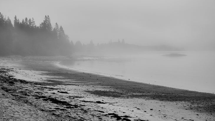 Roque Bluffs State Park, Maine on a foggy, moody-weather day