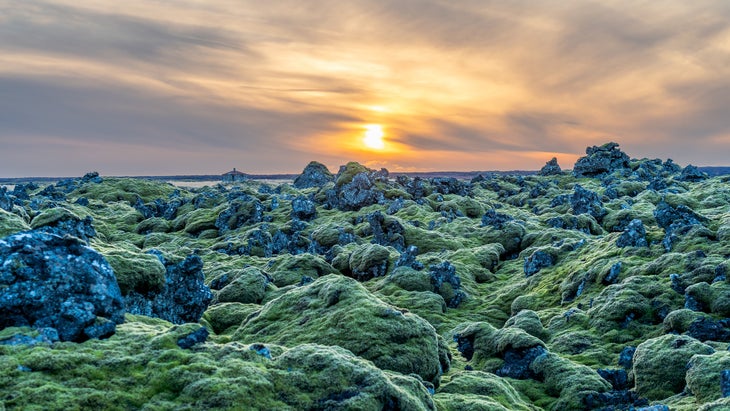 The whole Reykjanes peninsula is covered with stunning, moss-covered, volcanic boulder fields.