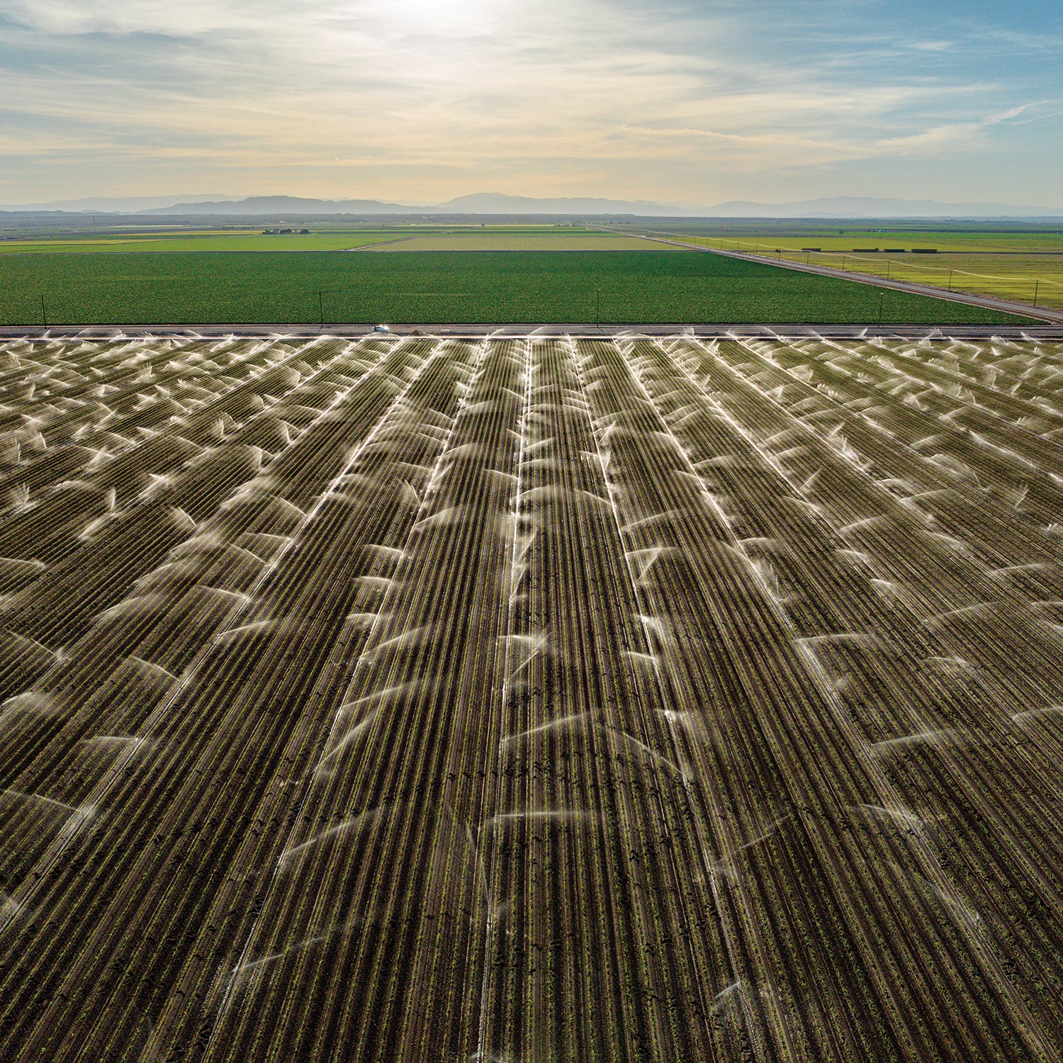 Cropland in California’s Imperial Valley