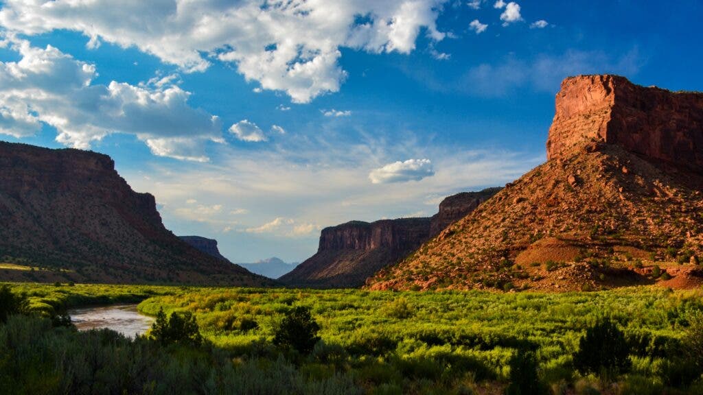The red bluffs of Colorado’s Dolores River Canyon tower above an otherwise verdant valley cut through by the Dolores River.