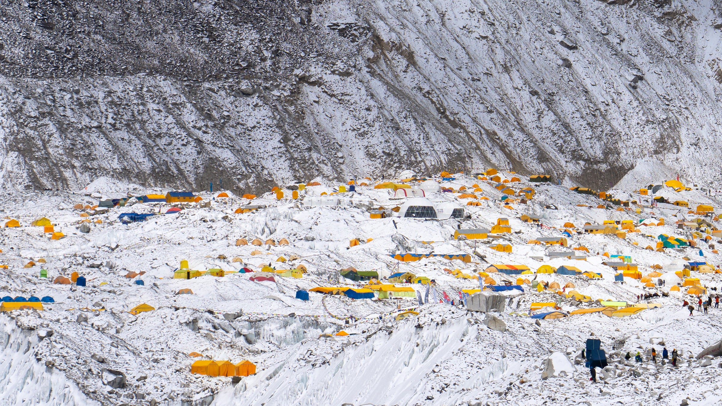 What Is Killing Nepal's Snow Leopards?