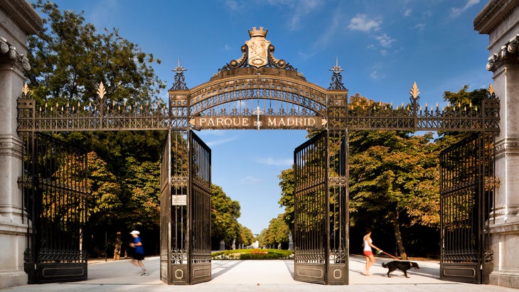 runner and dog walker in el retiro park madrid