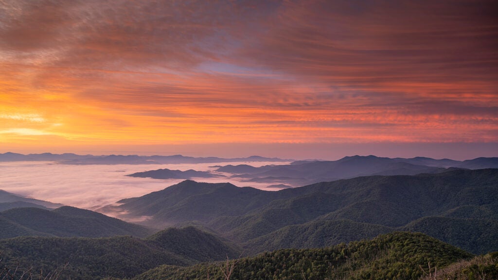 Appalachian Trail, NC