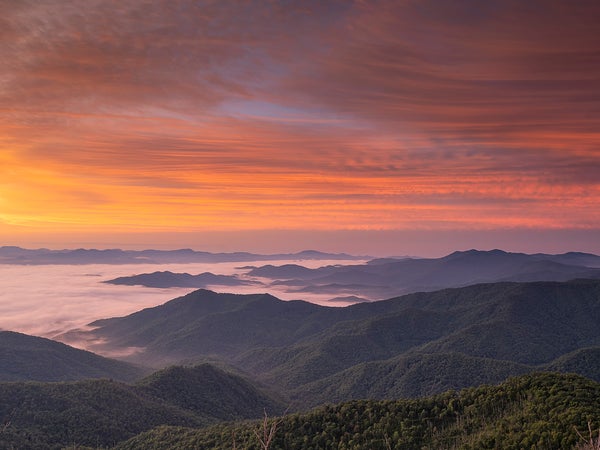 Appalachian Trail, NC