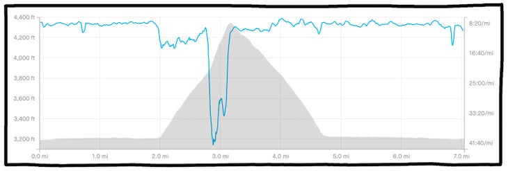 run log with vert and pace mapped