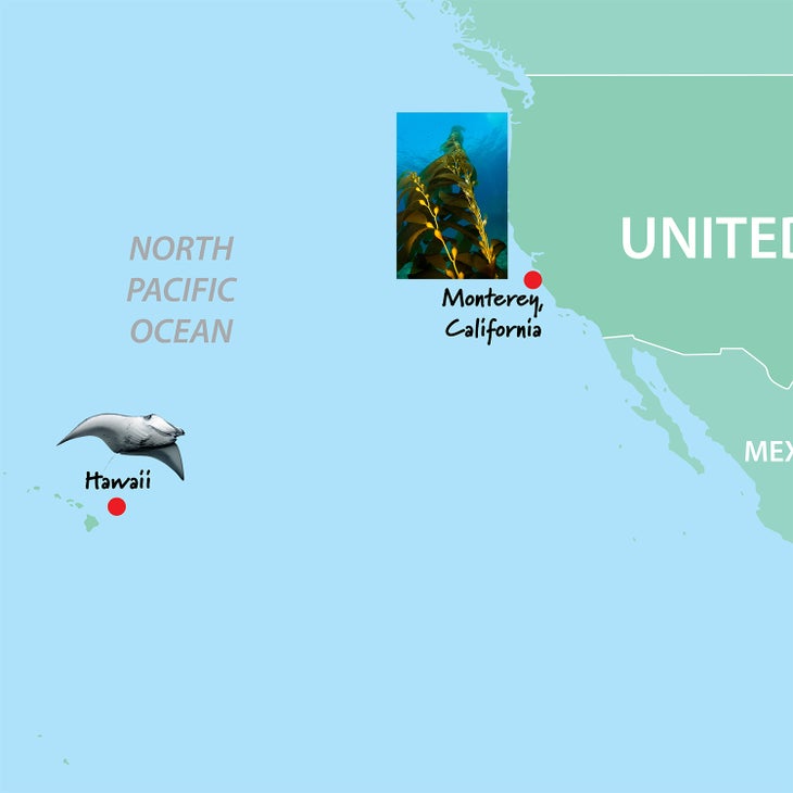 Map of scuba diving locations around Monterey, California and Hawaii