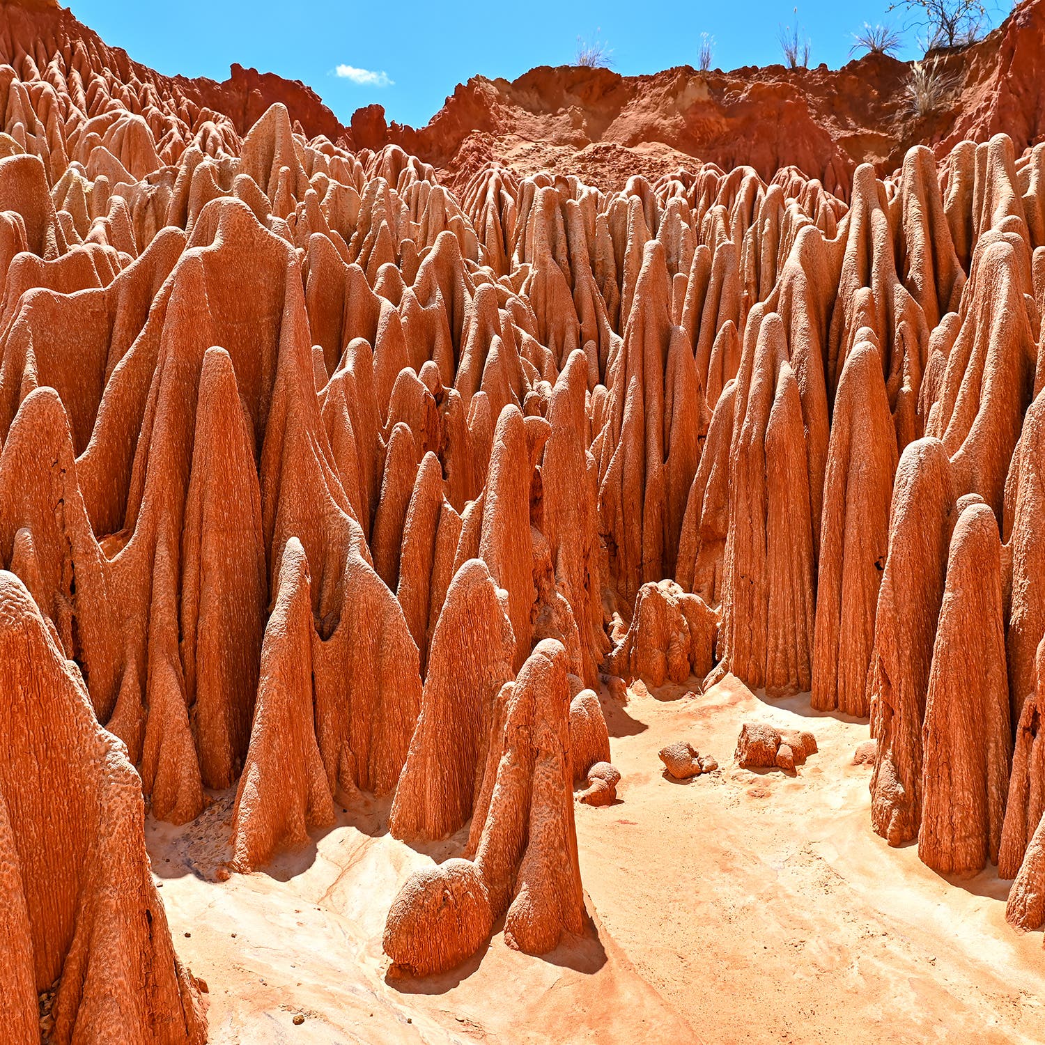 The tsingy pinnacles of Madagascar