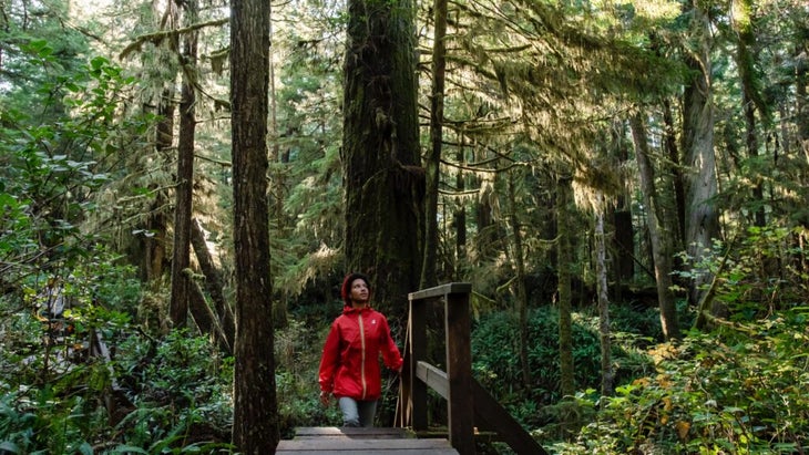 A woman walks up a set of wooden stairs while gazing up at the surrounding rainforest near Ucluelet, British Columbia.