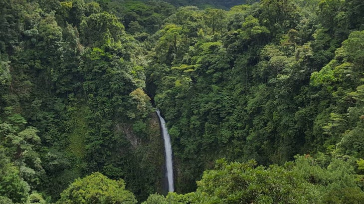 A waterfall surrounded by lush green trees and plants is a hiker's dream in Costa Rica.
