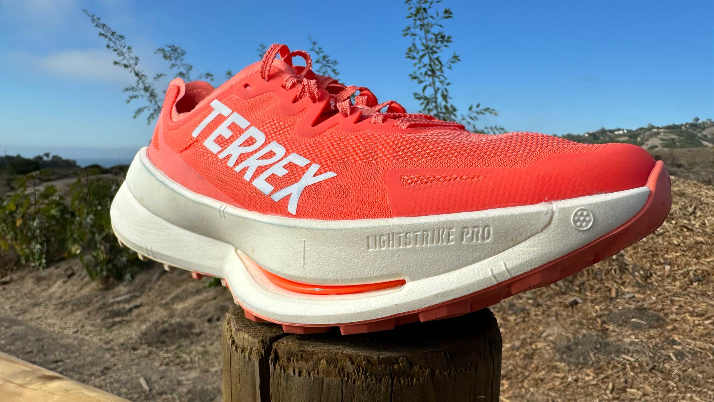 Adidas Terrex agravic speed ultra shoe on a post