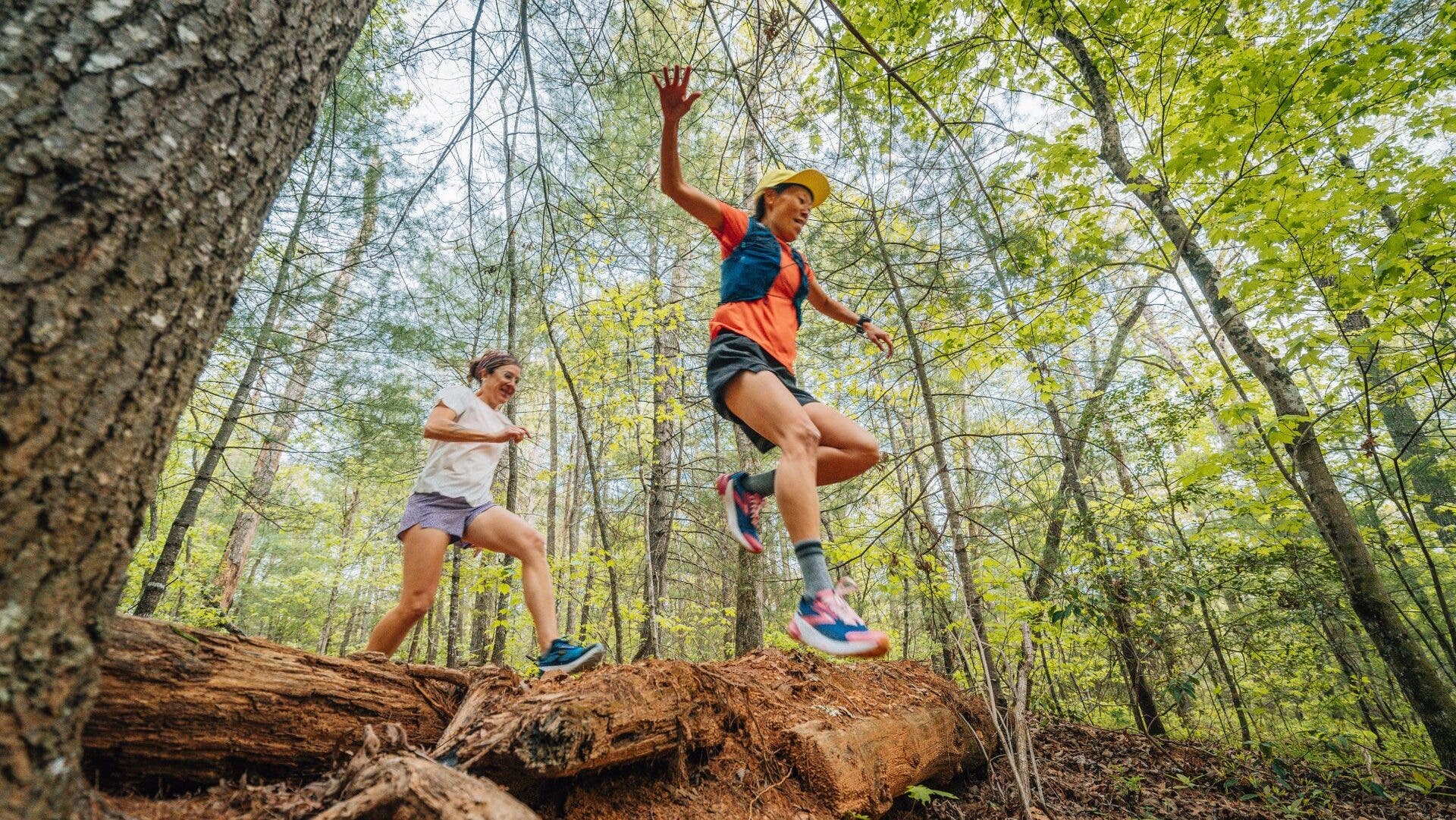 Discover the Best of Asheville with Advice from Local Experts