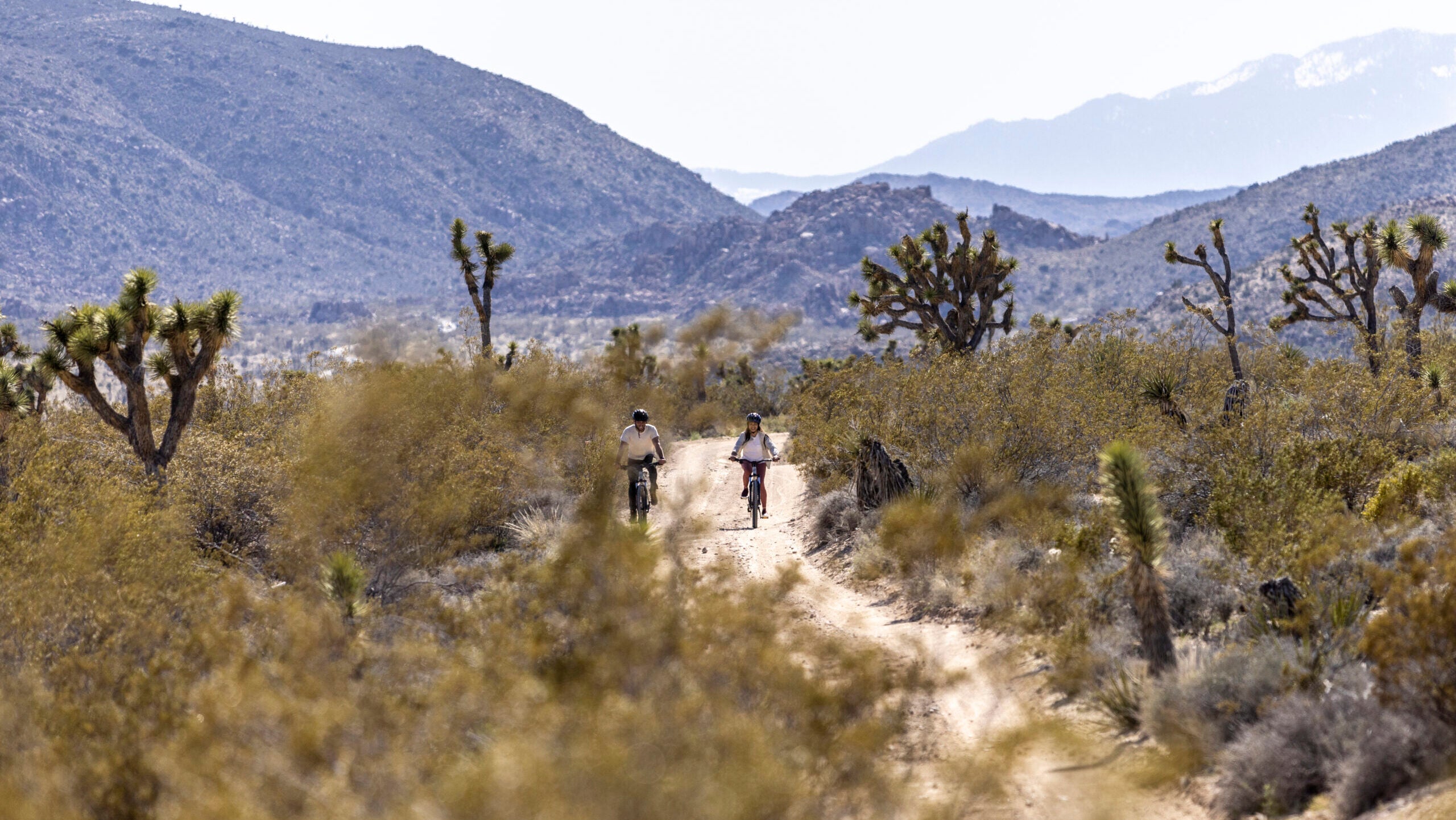 Biking in Joshua Tree National Park