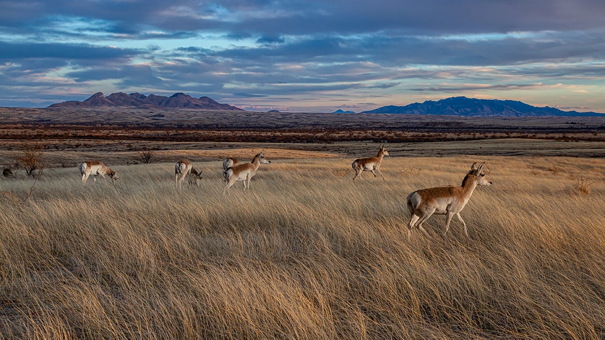 The New Public Lands Rule Balances Conservation Against Drilling